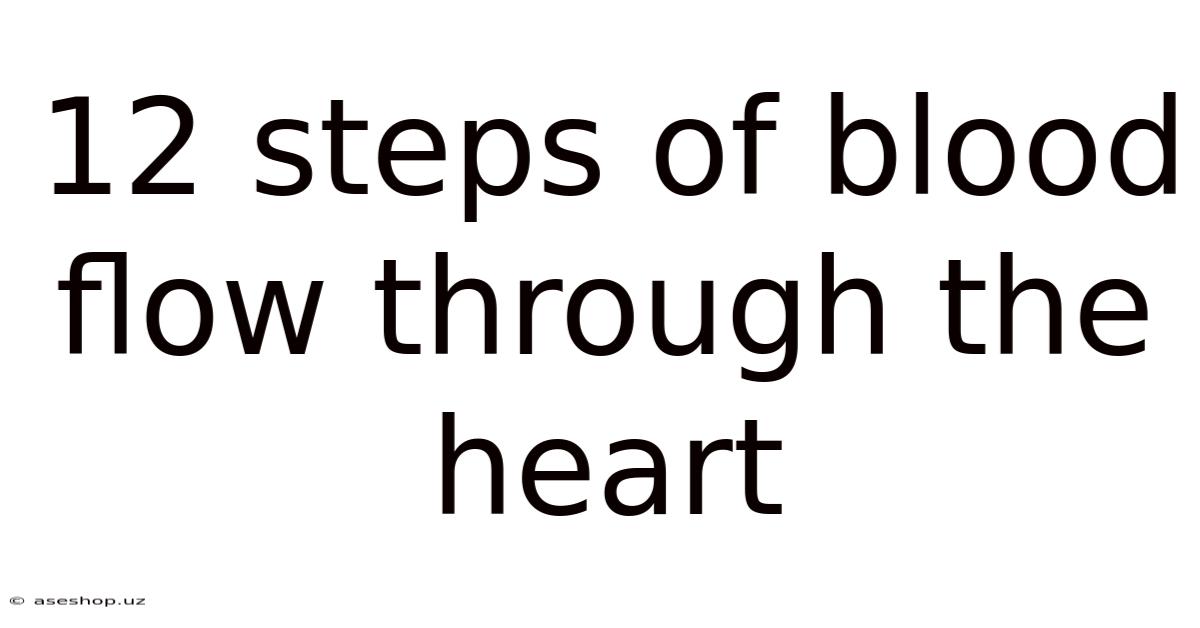 12 Steps Of Blood Flow Through The Heart