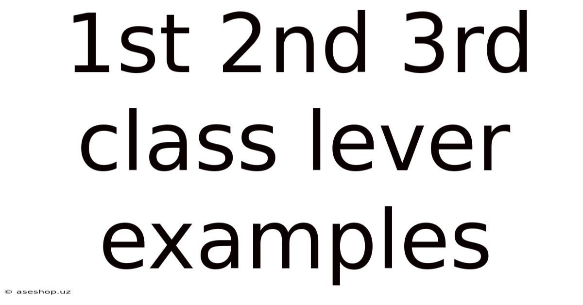 1st 2nd 3rd Class Lever Examples