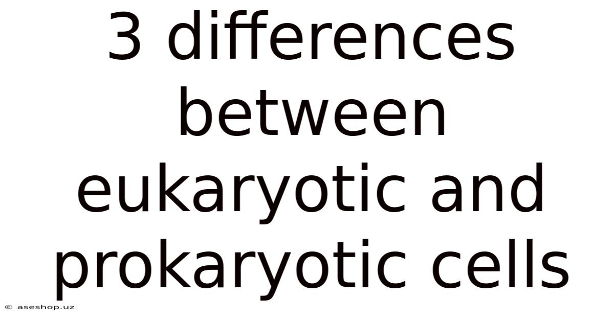 3 Differences Between Eukaryotic And Prokaryotic Cells