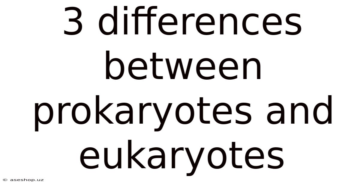 3 Differences Between Prokaryotes And Eukaryotes
