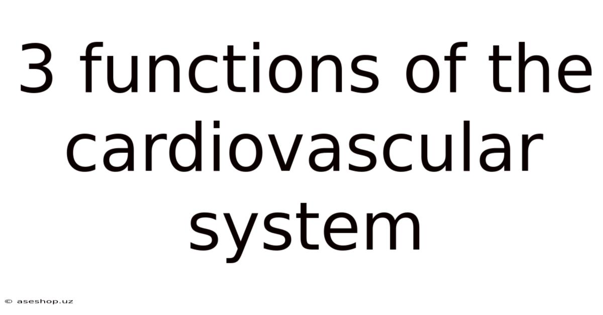 3 Functions Of The Cardiovascular System