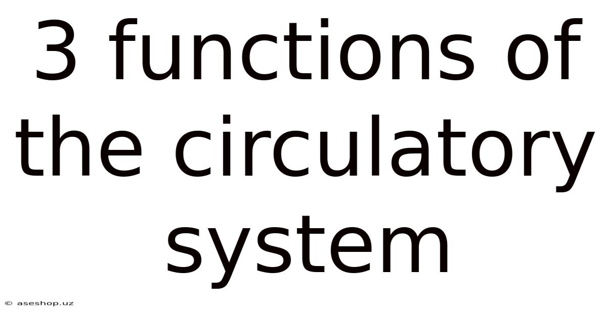 3 Functions Of The Circulatory System
