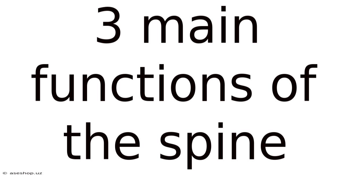 3 Main Functions Of The Spine