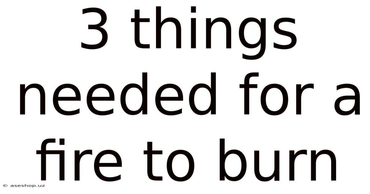 3 Things Needed For A Fire To Burn