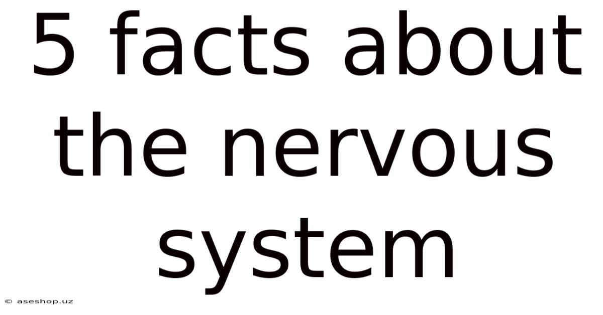 5 Facts About The Nervous System