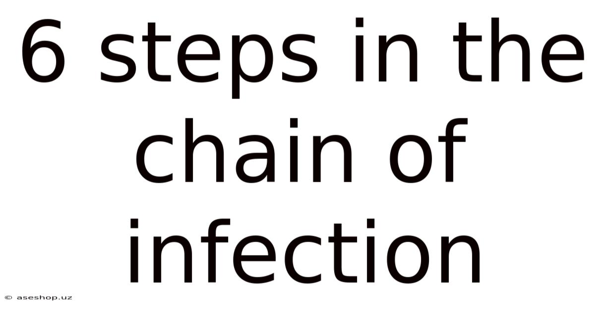 6 Steps In The Chain Of Infection