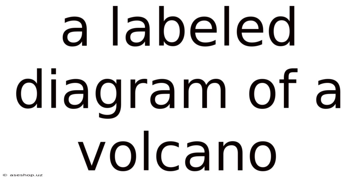 A Labeled Diagram Of A Volcano