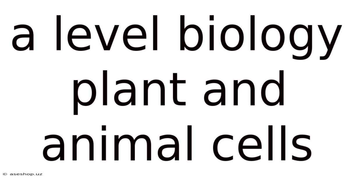 A Level Biology Plant And Animal Cells