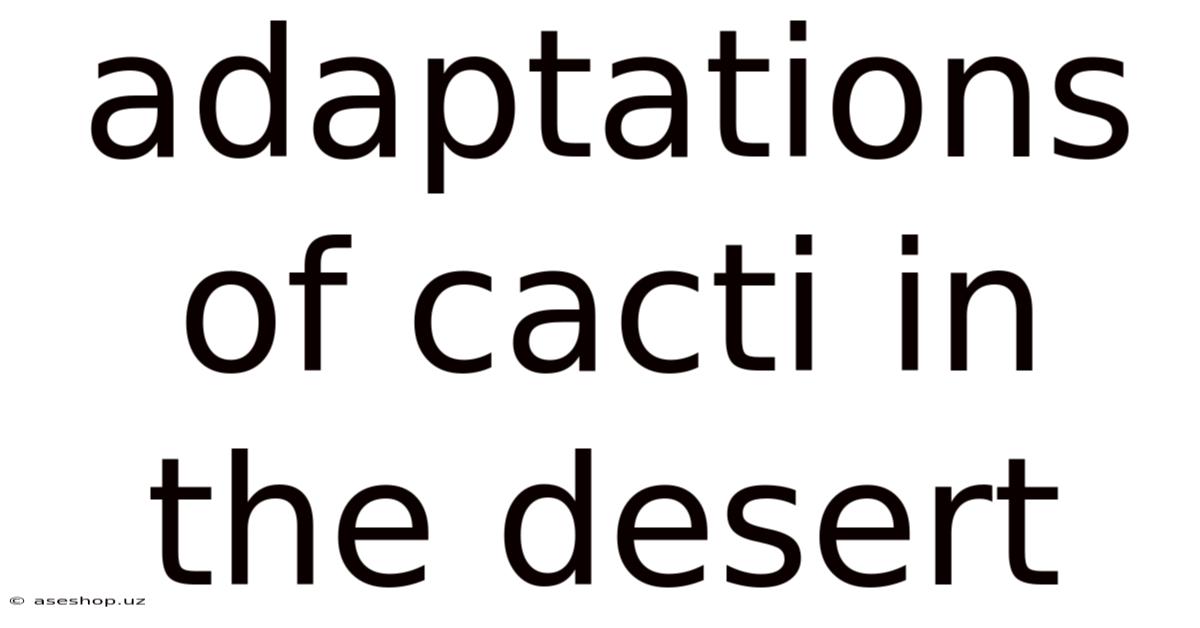 Adaptations Of Cacti In The Desert