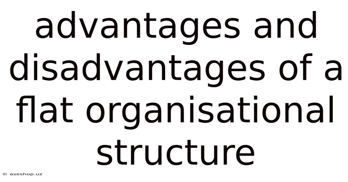 Advantages And Disadvantages Of A Flat Organisational Structure