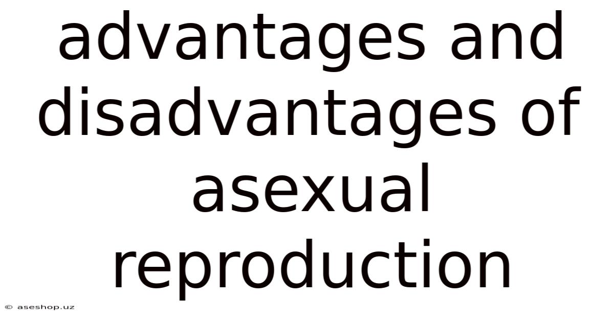 Advantages And Disadvantages Of Asexual Reproduction