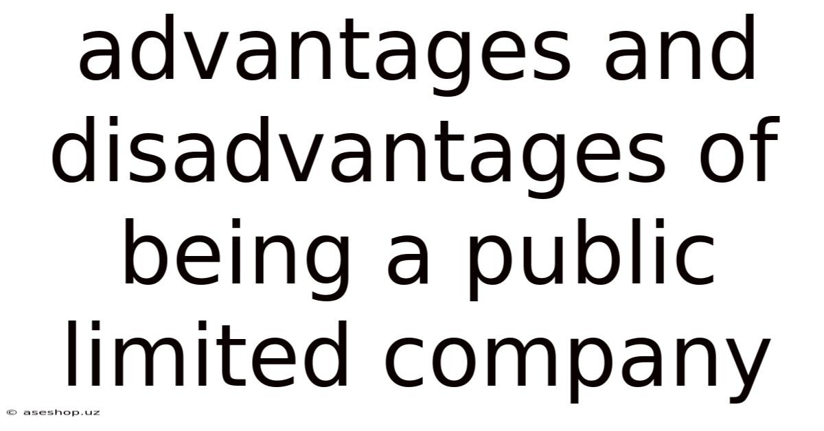 Advantages And Disadvantages Of Being A Public Limited Company