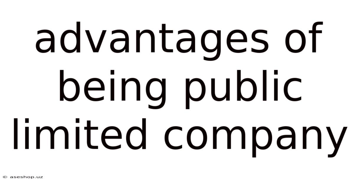 Advantages Of Being Public Limited Company