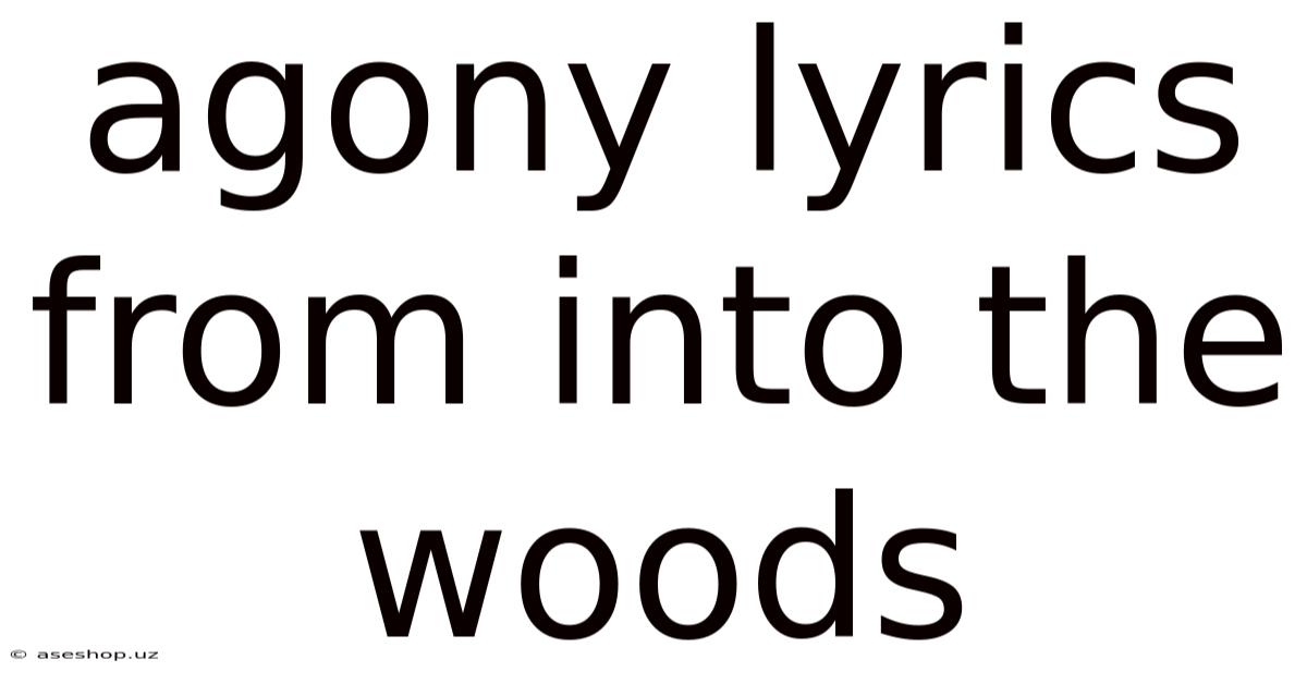 Agony Lyrics From Into The Woods