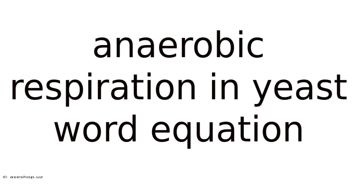 Anaerobic Respiration In Yeast Word Equation