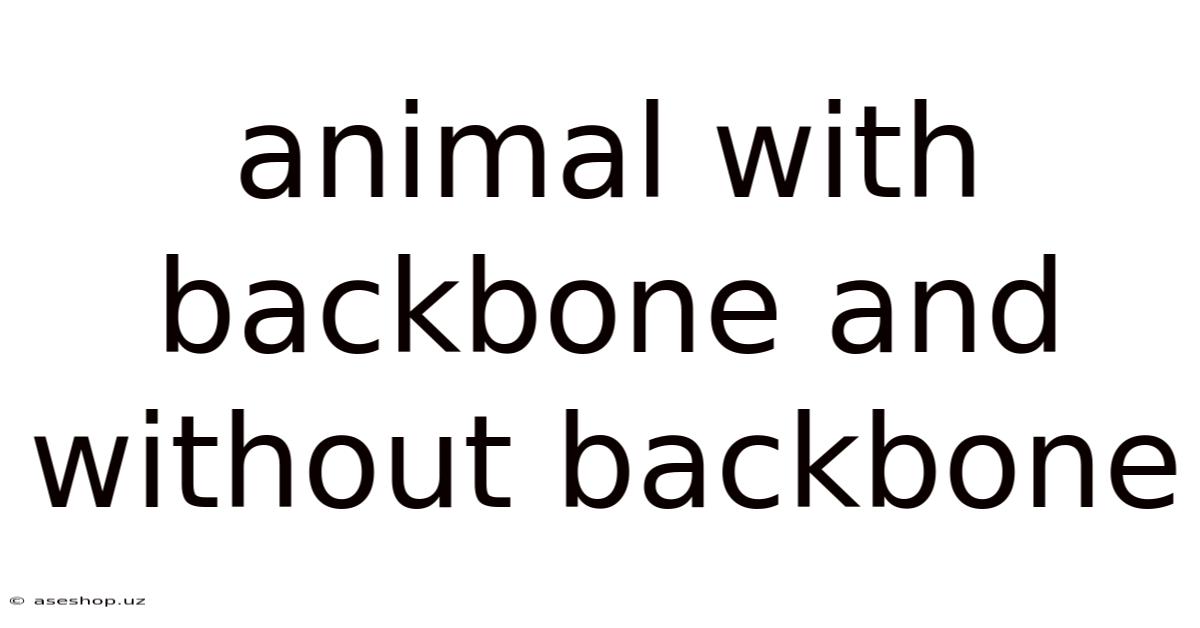 Animal With Backbone And Without Backbone
