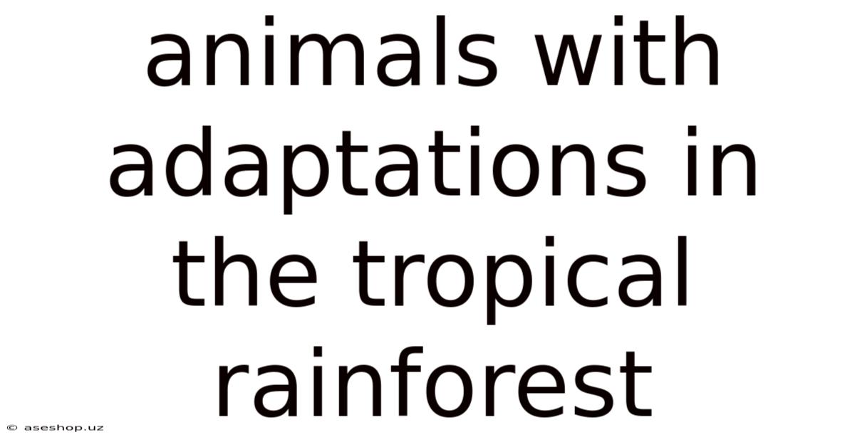 Animals With Adaptations In The Tropical Rainforest