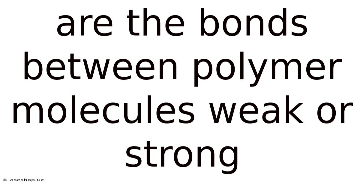 Are The Bonds Between Polymer Molecules Weak Or Strong