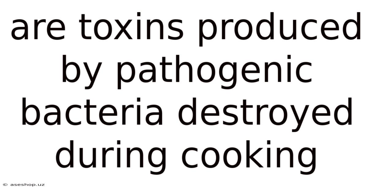 Are Toxins Produced By Pathogenic Bacteria Destroyed During Cooking