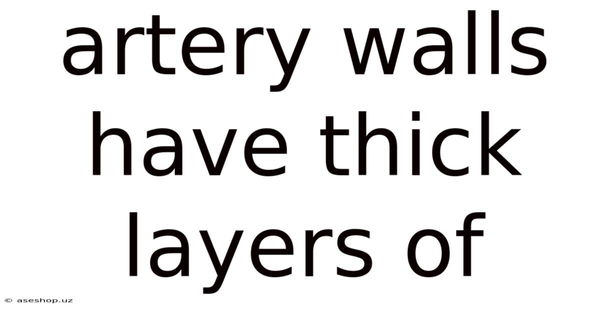 Artery Walls Have Thick Layers Of