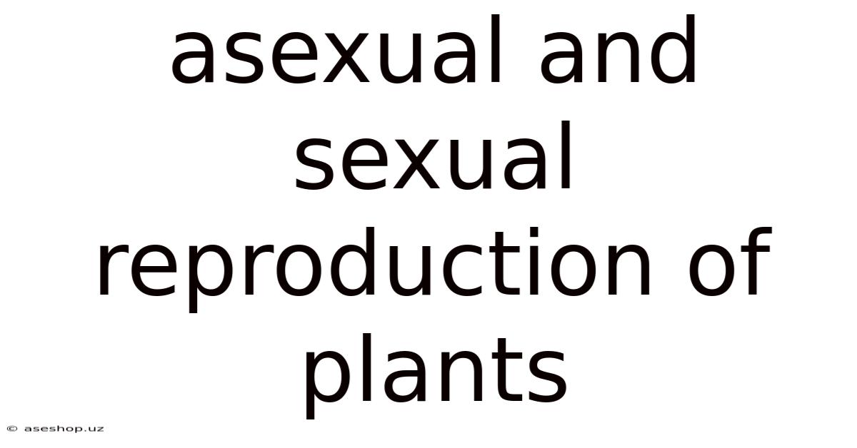 Asexual And Sexual Reproduction Of Plants