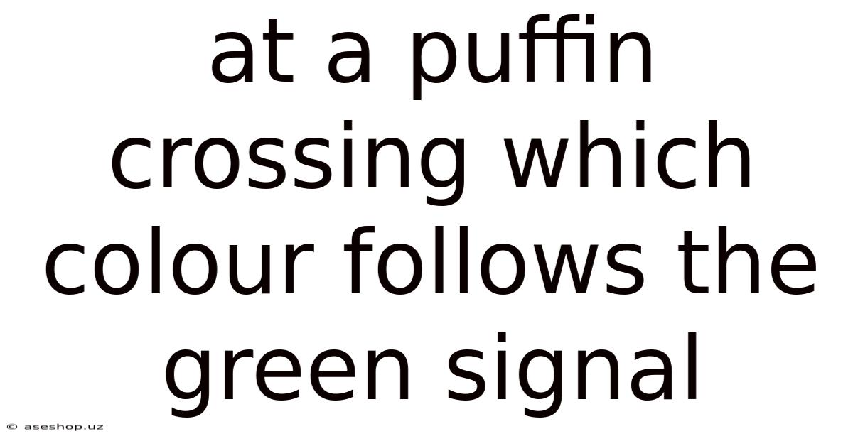 At A Puffin Crossing Which Colour Follows The Green Signal