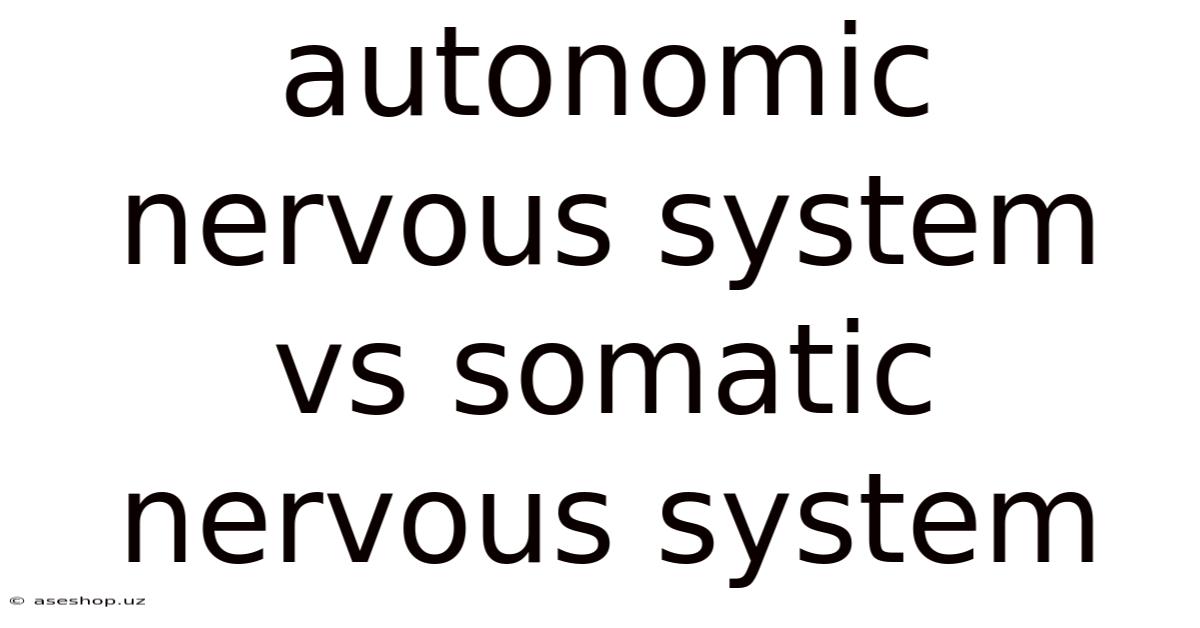 Autonomic Nervous System Vs Somatic Nervous System