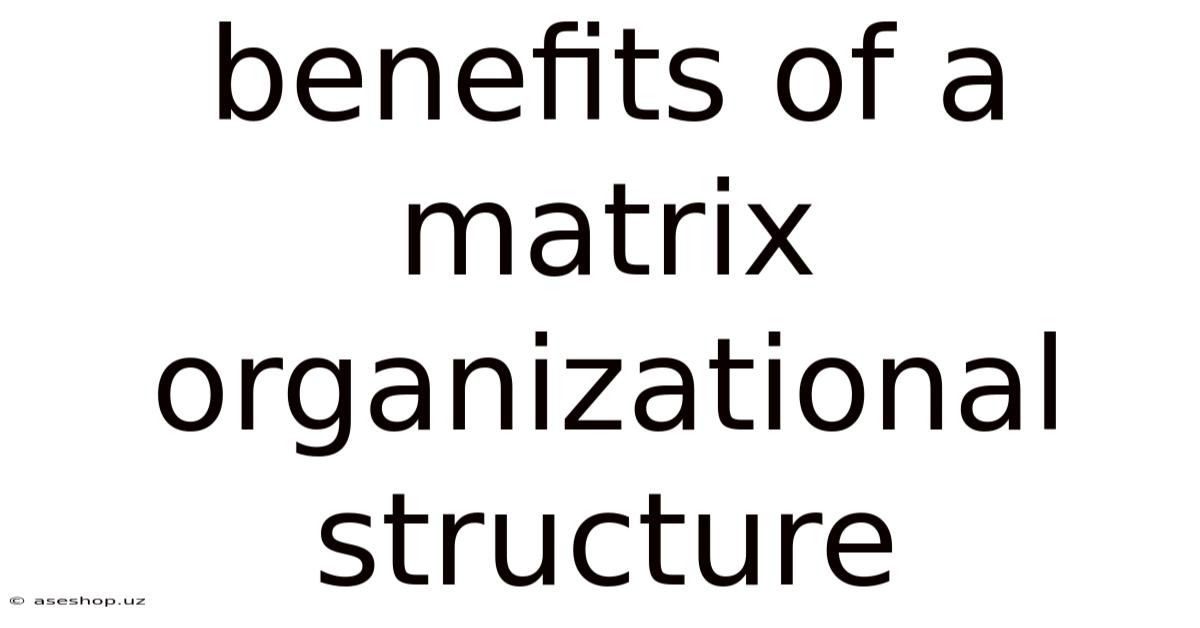 Benefits Of A Matrix Organizational Structure