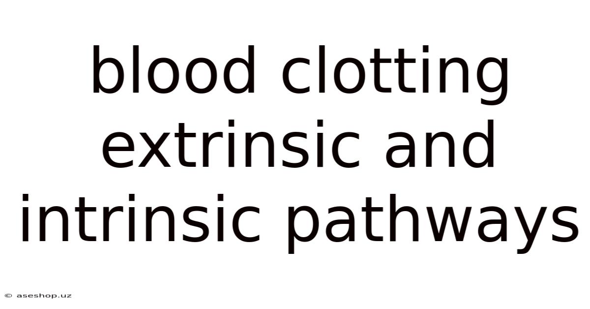 Blood Clotting Extrinsic And Intrinsic Pathways