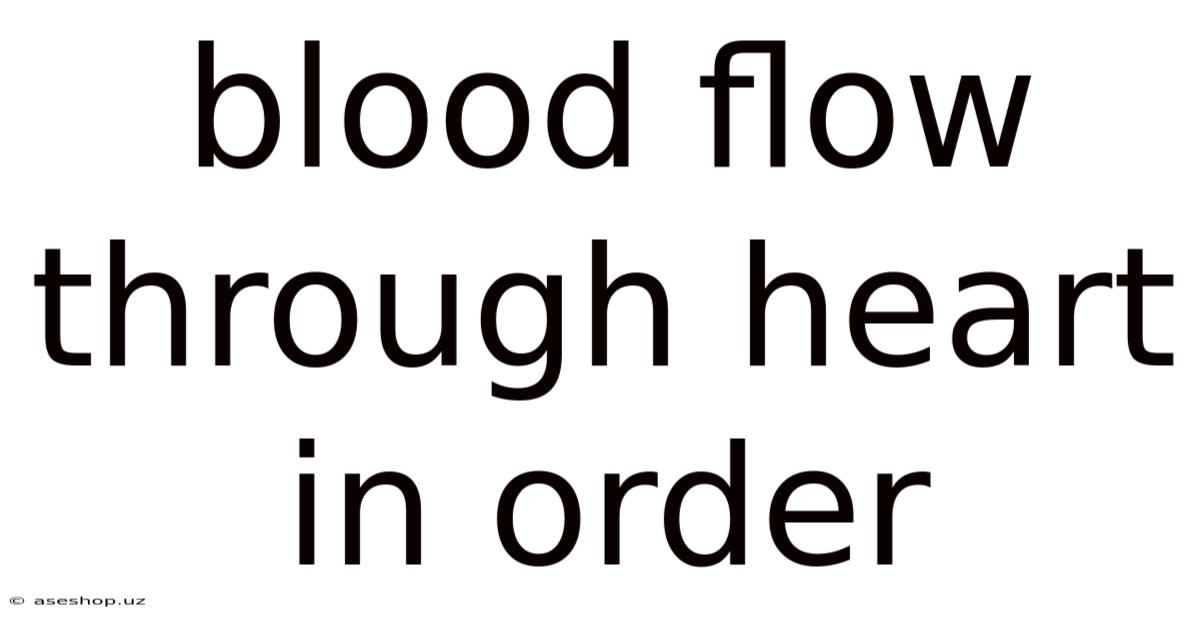 Blood Flow Through Heart In Order