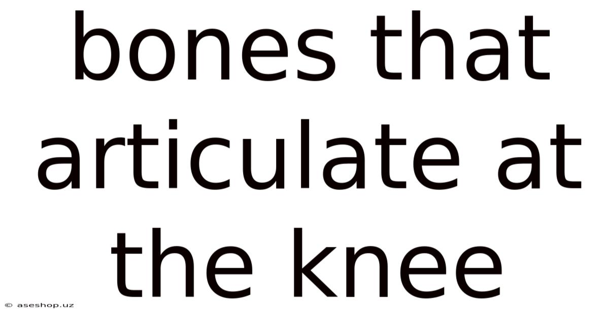 Bones That Articulate At The Knee