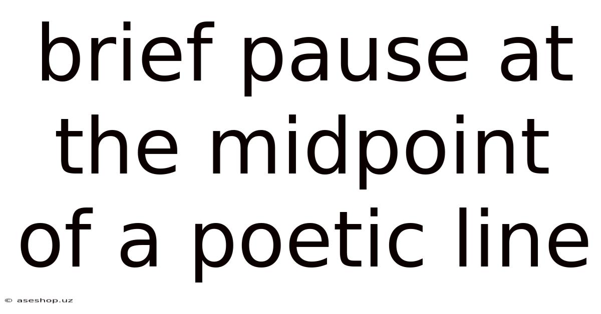 Brief Pause At The Midpoint Of A Poetic Line