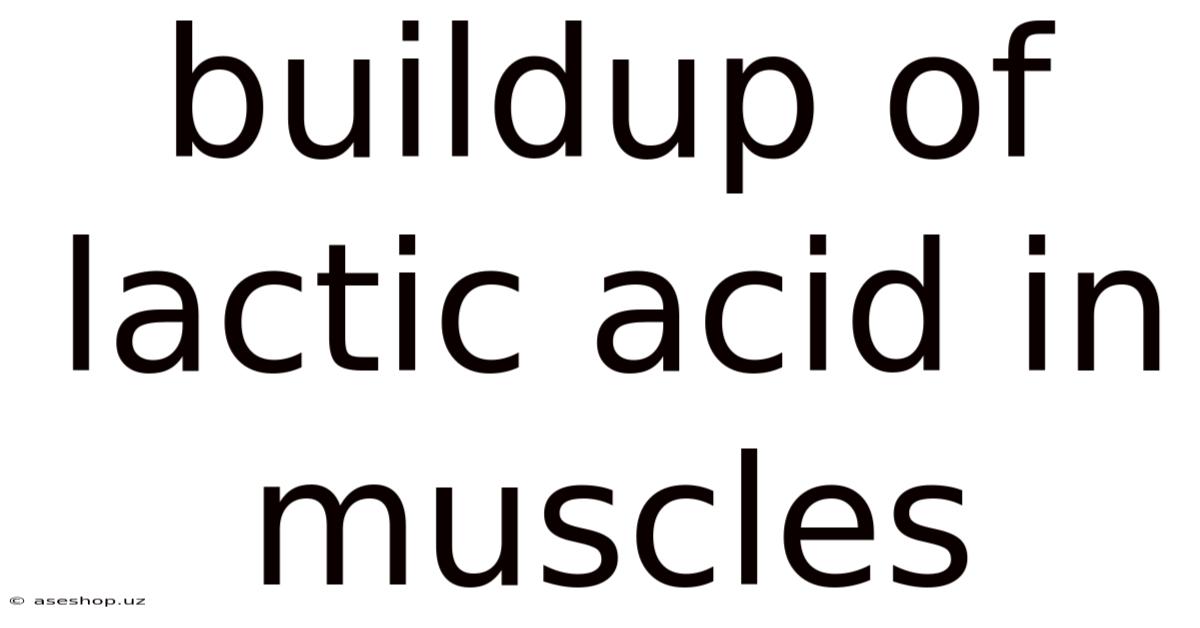 Buildup Of Lactic Acid In Muscles