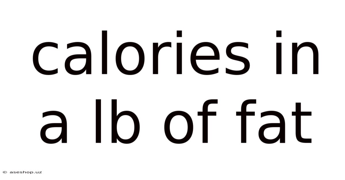 Calories In A Lb Of Fat