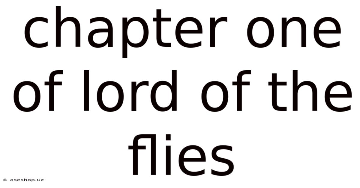 Chapter One Of Lord Of The Flies
