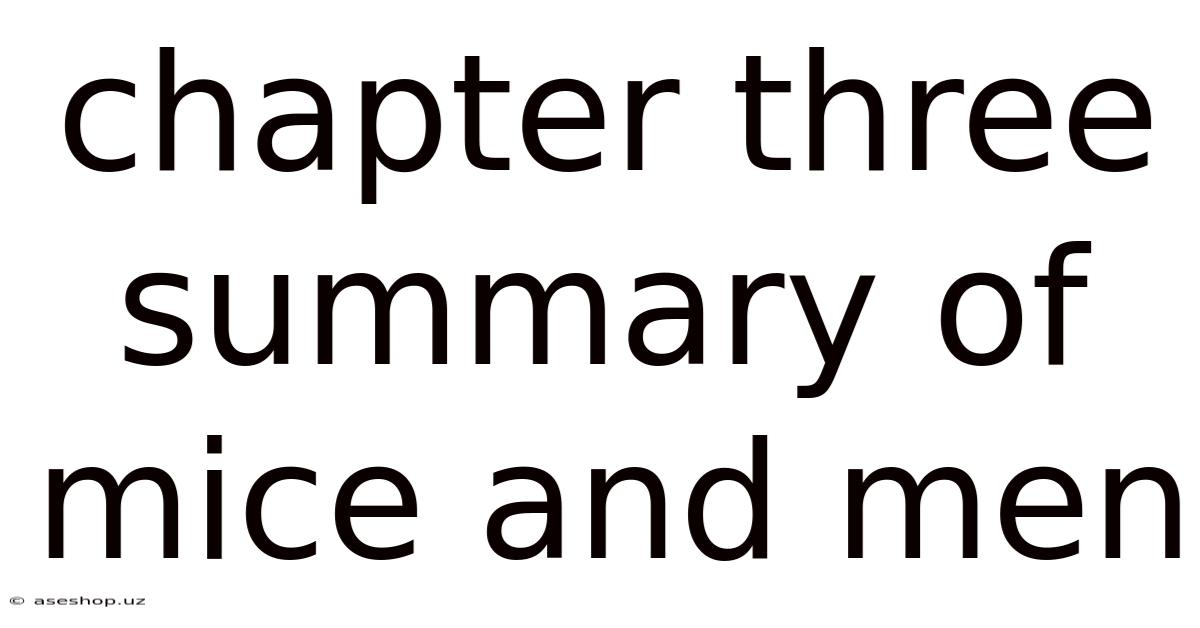 Chapter Three Summary Of Mice And Men
