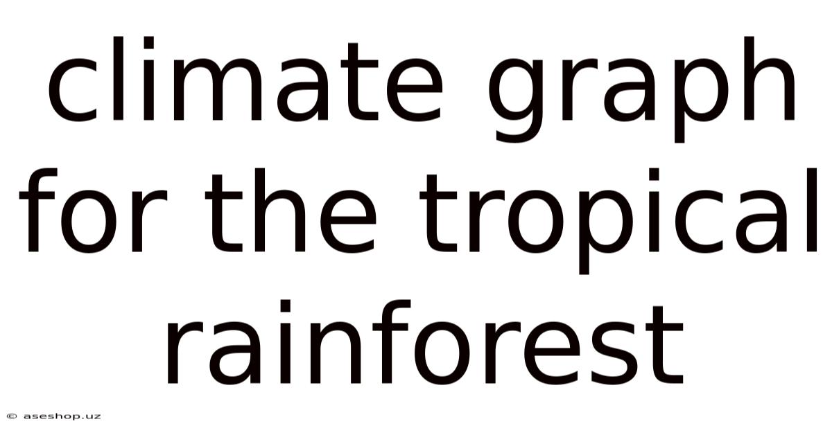 Climate Graph For The Tropical Rainforest