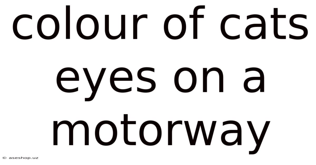 Colour Of Cats Eyes On A Motorway