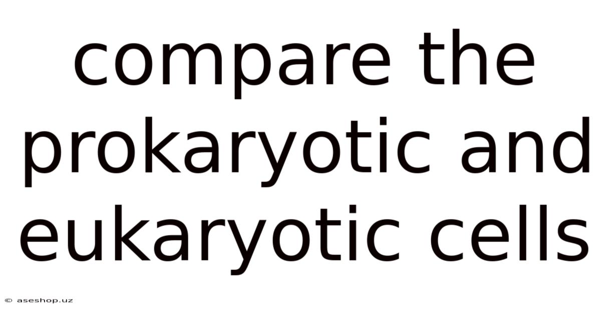 Compare The Prokaryotic And Eukaryotic Cells