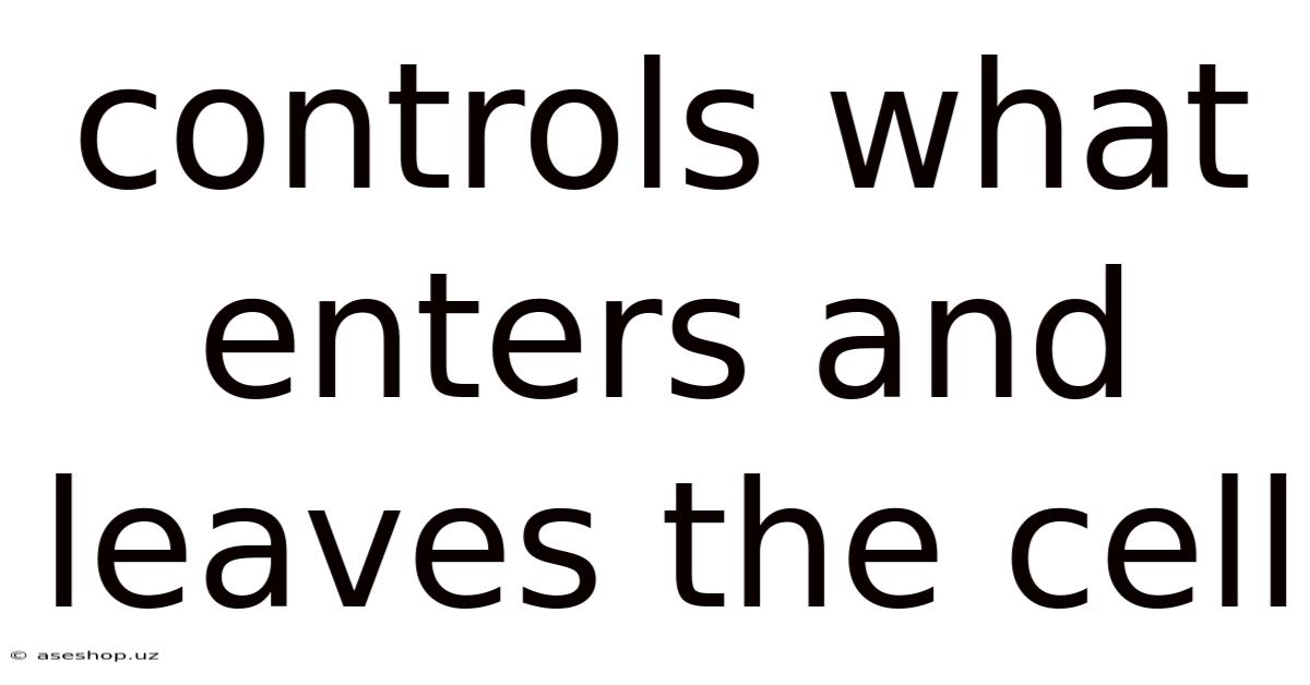 Controls What Enters And Leaves The Cell