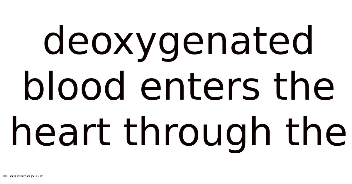 Deoxygenated Blood Enters The Heart Through The