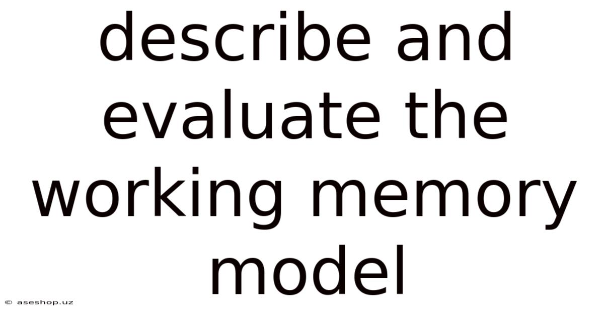 Describe And Evaluate The Working Memory Model
