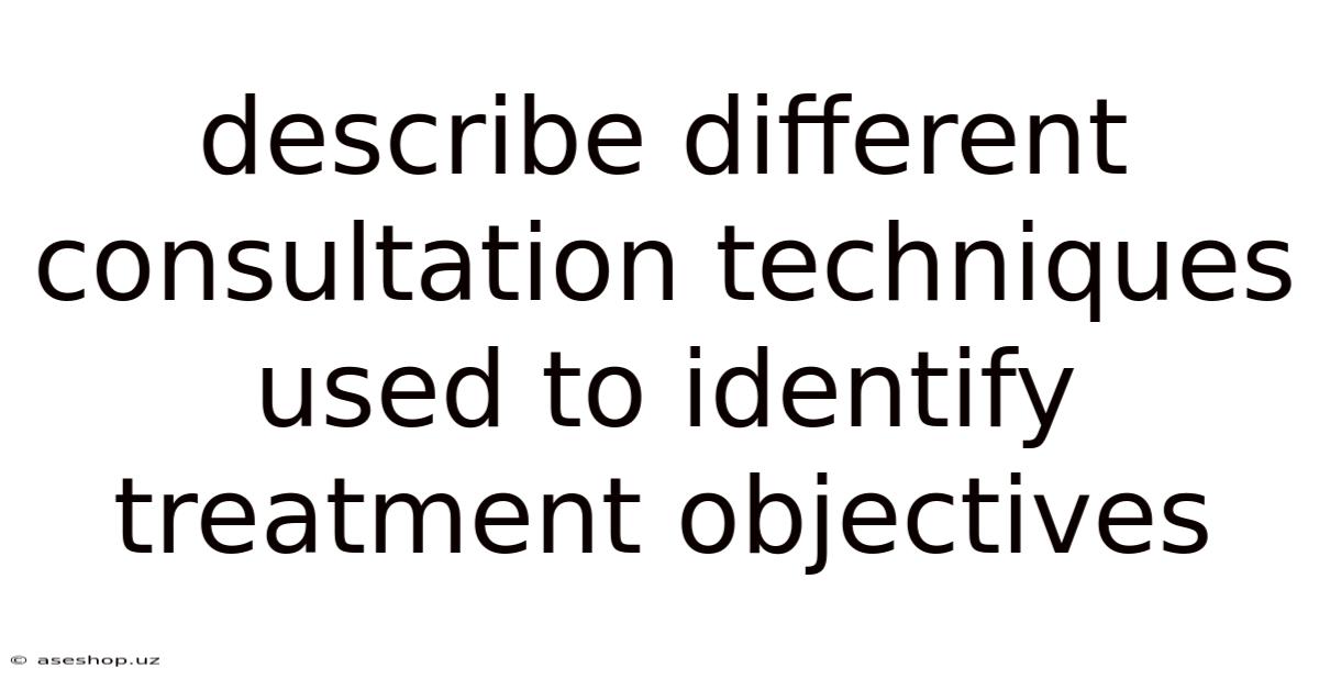 Describe Different Consultation Techniques Used To Identify Treatment Objectives