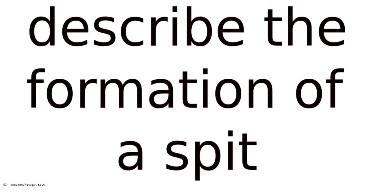 Describe The Formation Of A Spit