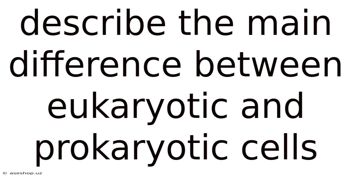 Describe The Main Difference Between Eukaryotic And Prokaryotic Cells