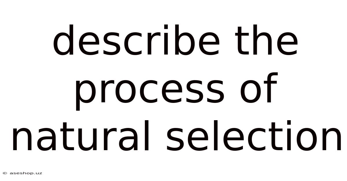 Describe The Process Of Natural Selection