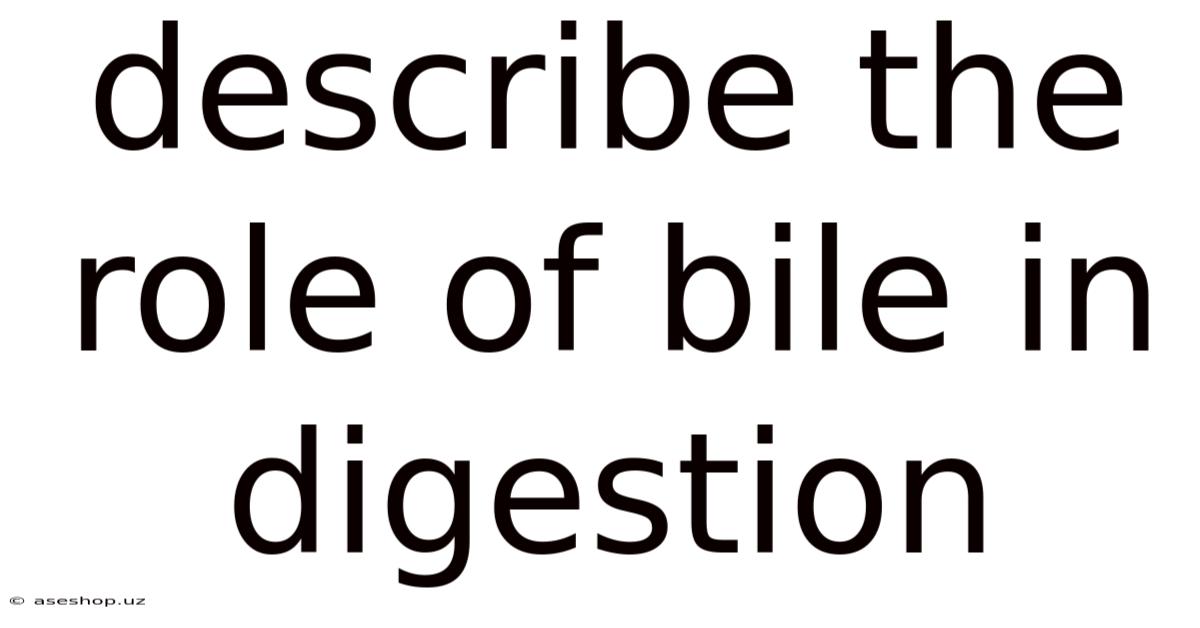 Describe The Role Of Bile In Digestion