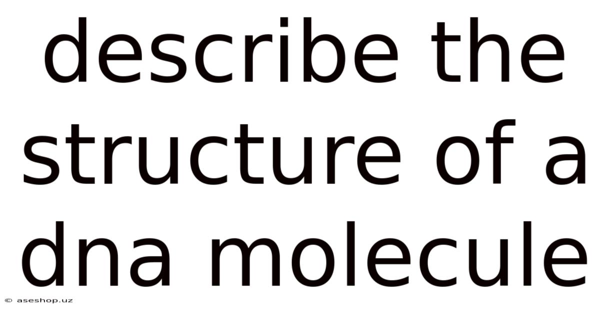 Describe The Structure Of A Dna Molecule
