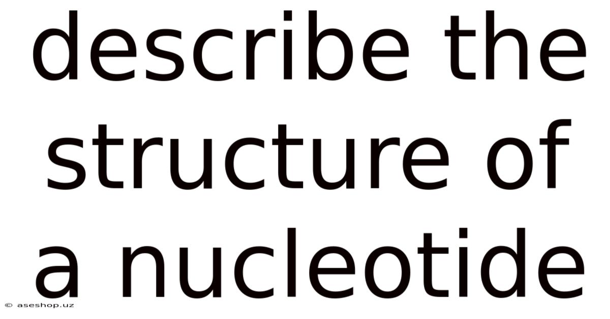 Describe The Structure Of A Nucleotide