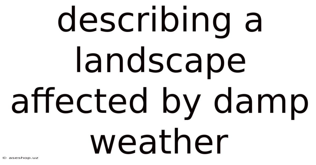 Describing A Landscape Affected By Damp Weather